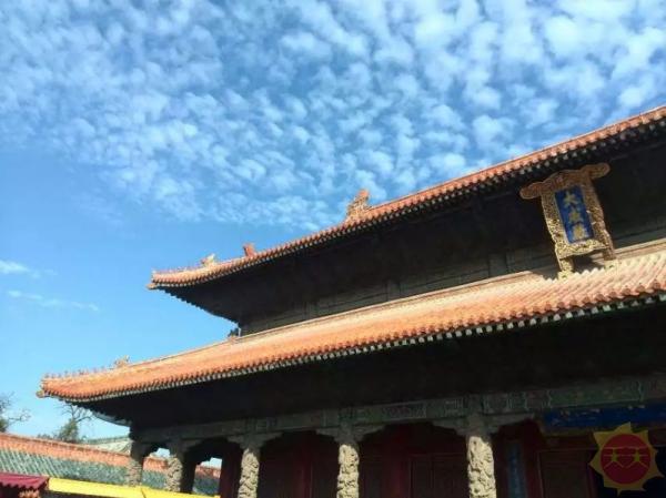 山东，力量与梦想的汇聚之地