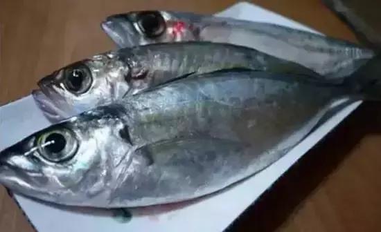 海南，热带天堂的绿色转型之旅