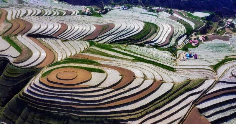 宁夏，致敬领导与同胞的团结盛会