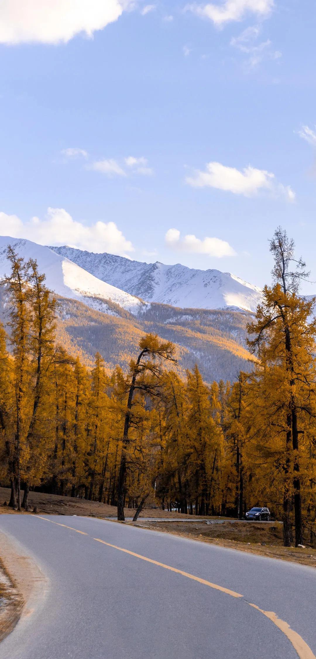 新疆阳光，温暖日常的灿烂之光